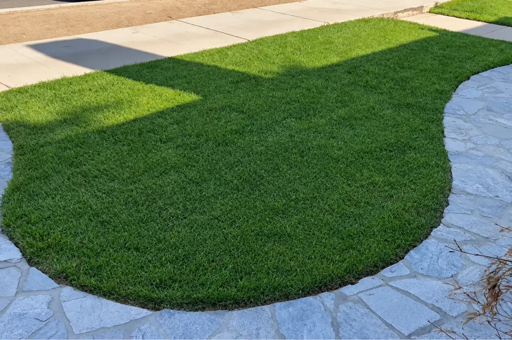 Landscaping Lubbock sod lawn
